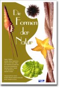 Die Formen der Natur