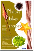 Nature takes Shapes