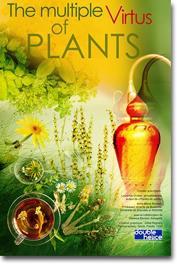 The multiple virtues of plants