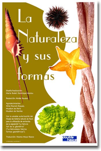 La Naturaleza y sus formas