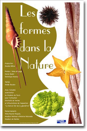 Les formes dans la Nature