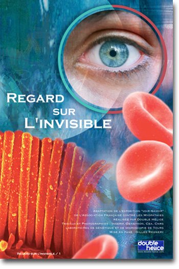 Regard sur l'invisible