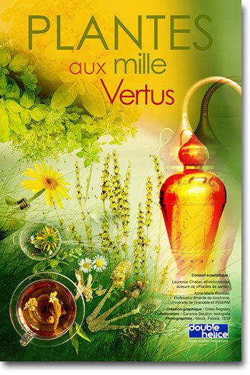 Plantes aux mille vertus